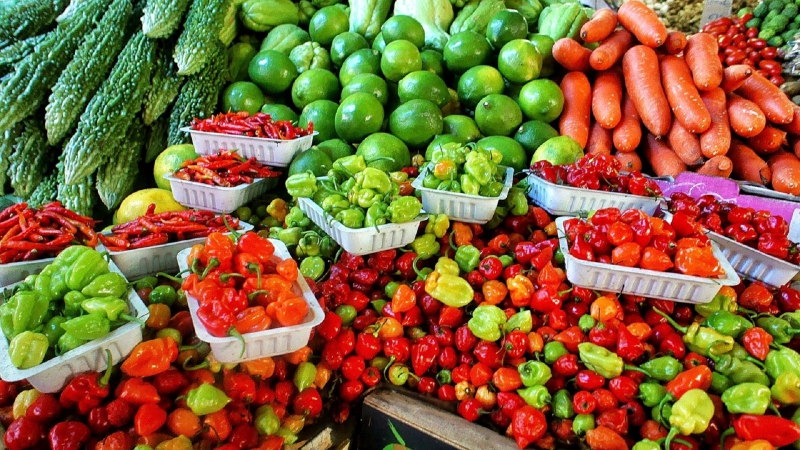 primeur-TENDE-min_farmers-market-1329008